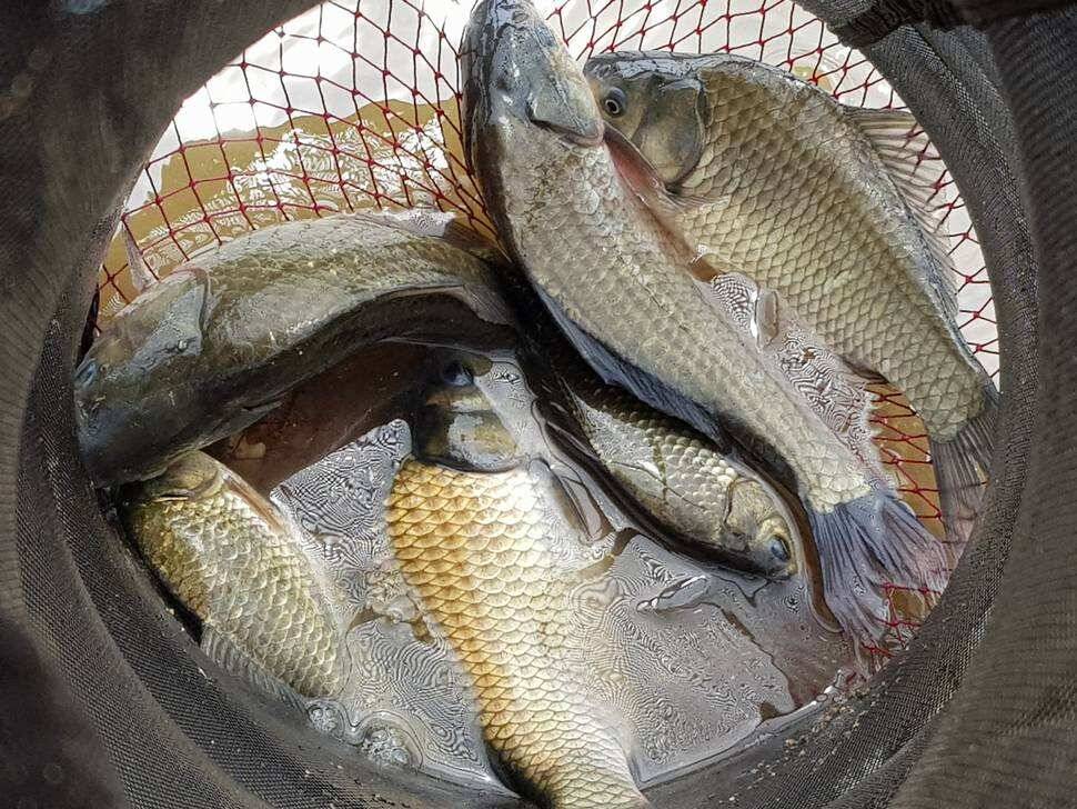 fish_pay_d8190_081757_23884.jpg