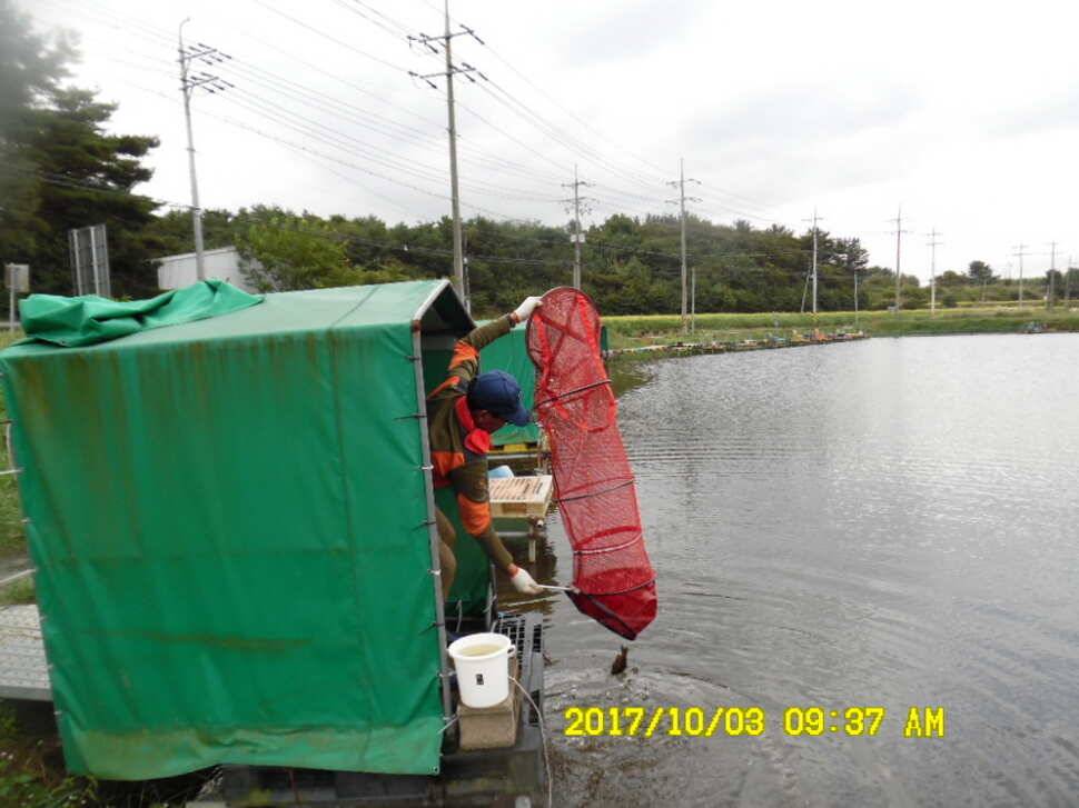 경주동산낚시터 지난주 조황 (유료터정보 - 유료터점주조황)