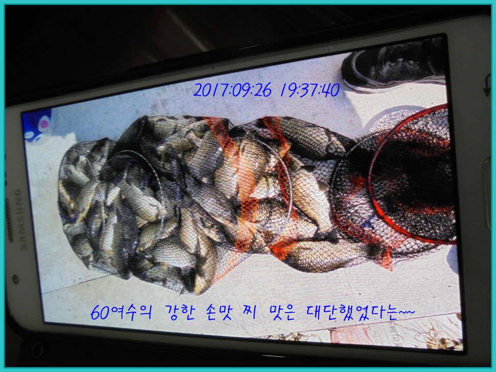도심속의 작은 쉼터 화성 관리 낚시터입니다9월이여 안녕 (유료터정보 - 유료터점주조황)