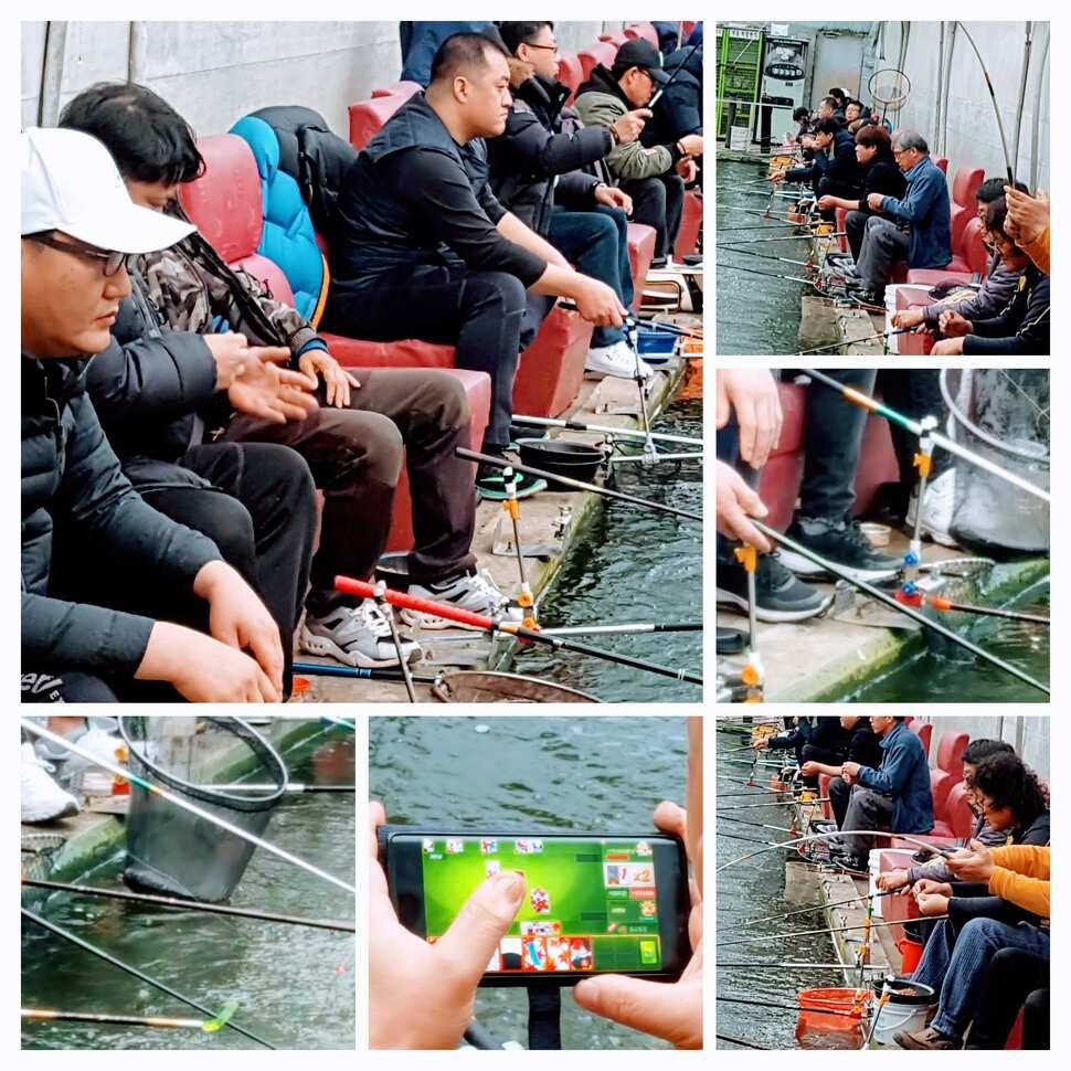 fish_pay_d896c_045412_46378.jpg