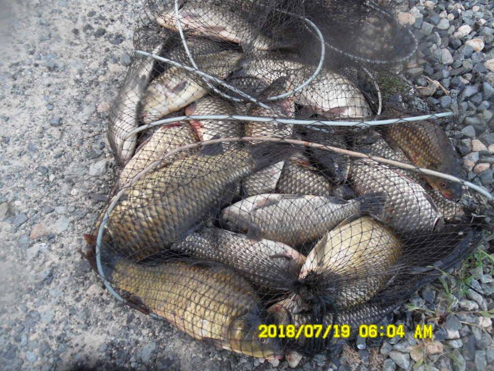 경주 동산낚시터 지난주 조황 (유료터정보 - 유료터점주조황)
