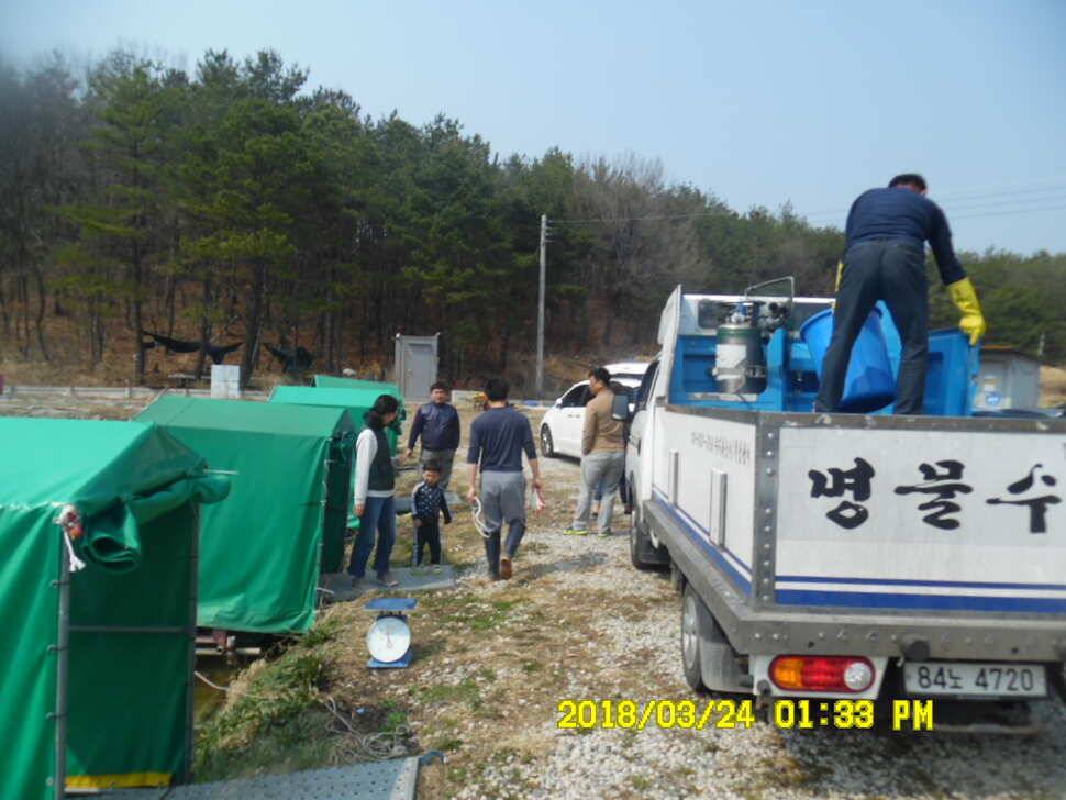 경주 동산낚시터 지난주 조황 (유료터정보 - 유료터점주조황)