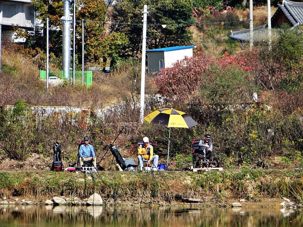 경기도 포천 쌍방죽낚시터 11월 7일 소식 (유료터정보 - 유료터점주조황)