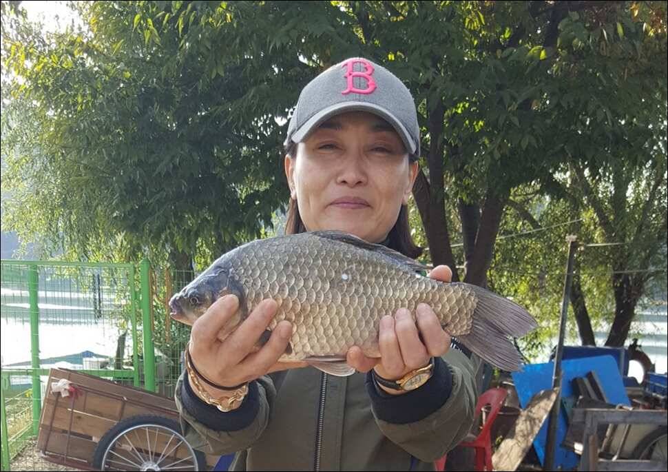 171021 송전지 서울집 조황 (유료터정보 - 유료터점주조황)
