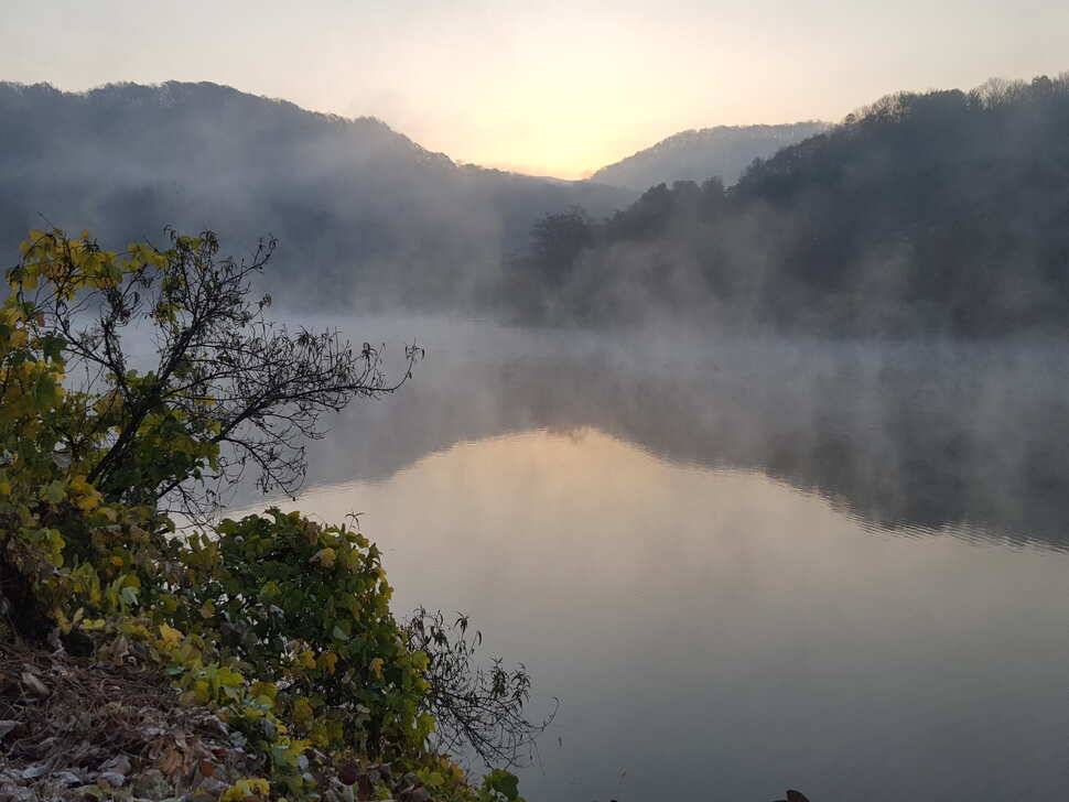 안성죽산장계지조항전경입니다 (유료터정보 - 유료터점주조황)