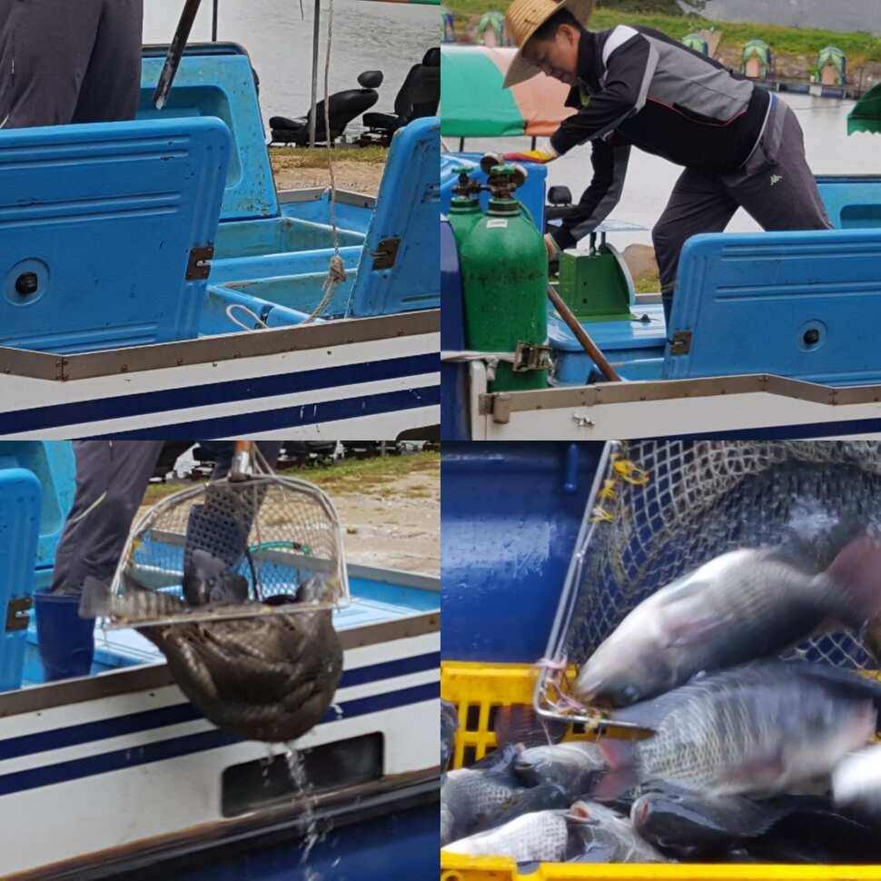fish_pay_db0be_070950_69942.jpg