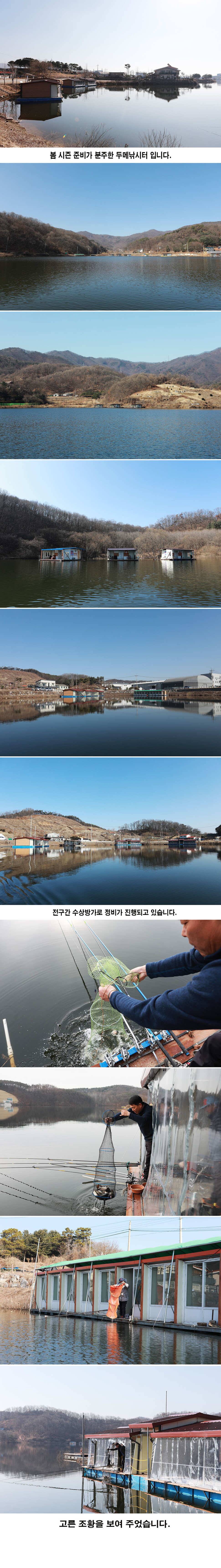 안성 두메낚시터 3월7일 조황안내 (유료터정보 - 유료터점주조황)