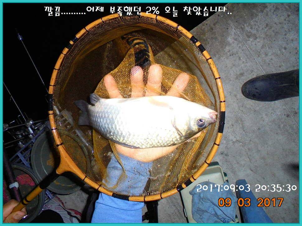 도심속의 작은 쉼터 화성 관리 낚시터입니다Dae Bak 예감 (유료터정보 - 유료터점주조황)