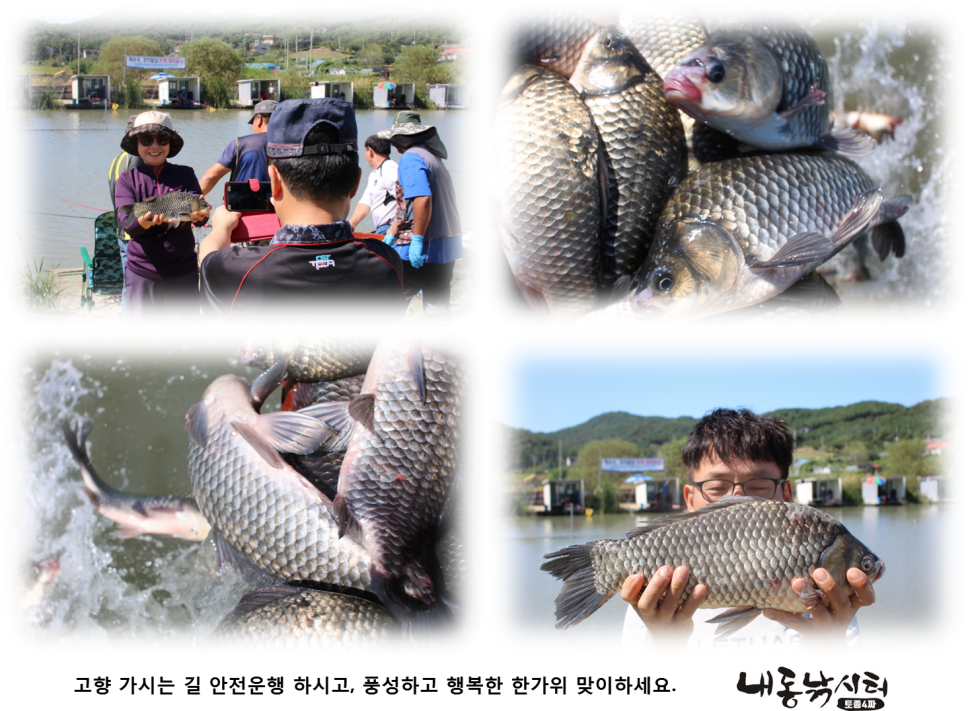 추석 이벤트 (유료터정보 - 유료터점주조황)