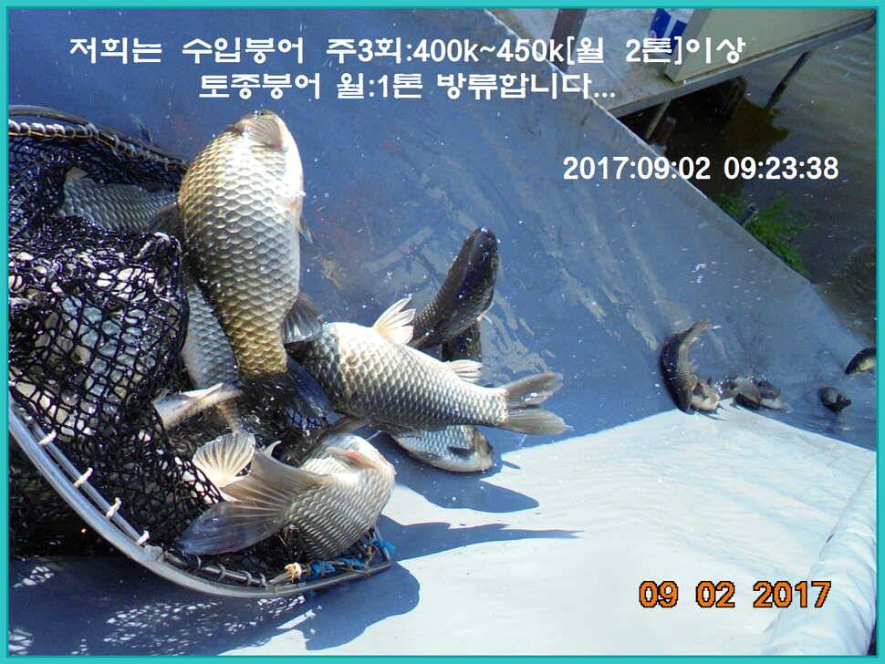 도심속의 작은 쉼터 화성 관리 낚시터 입니다 (유료터정보 - 유료터점주조황)