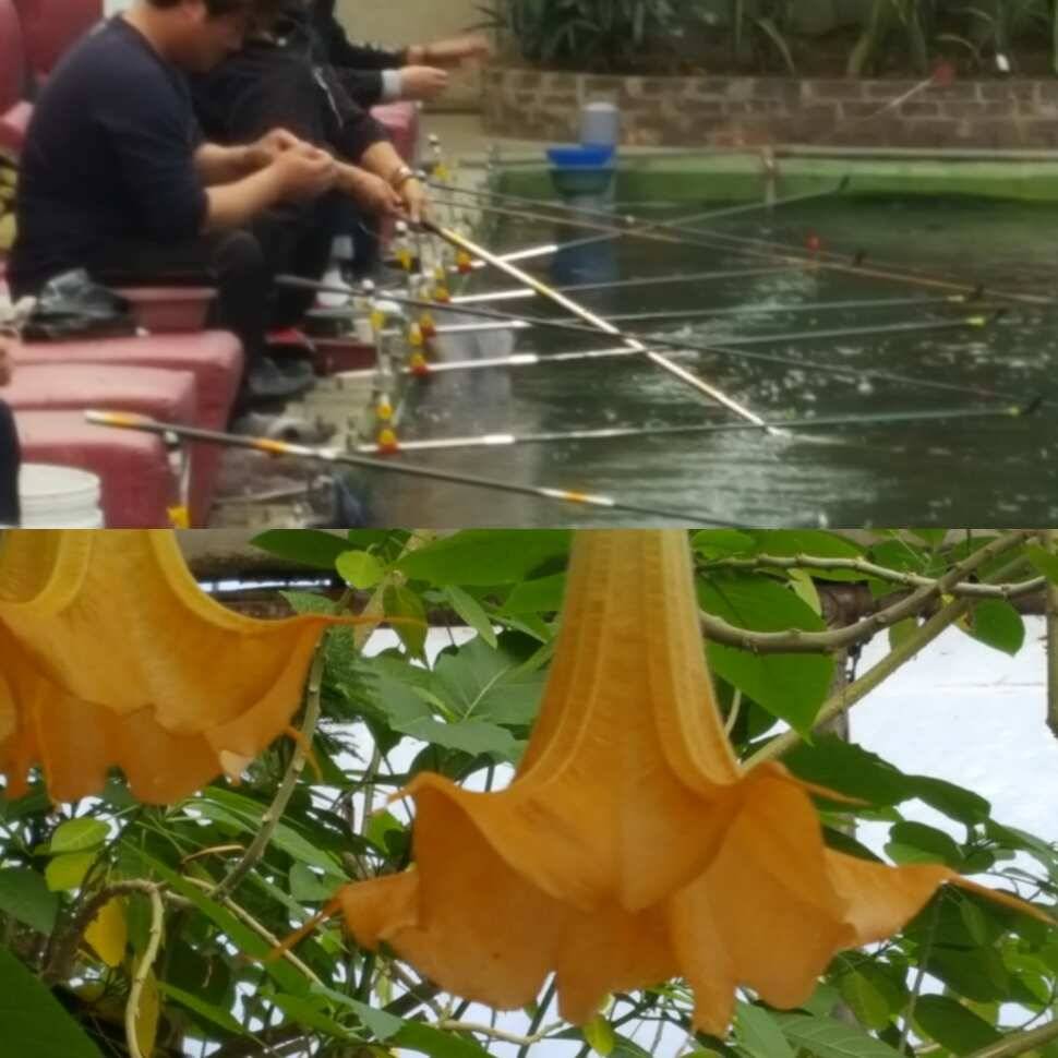 꽃동네 (유료터정보 - 유료터점주조황)