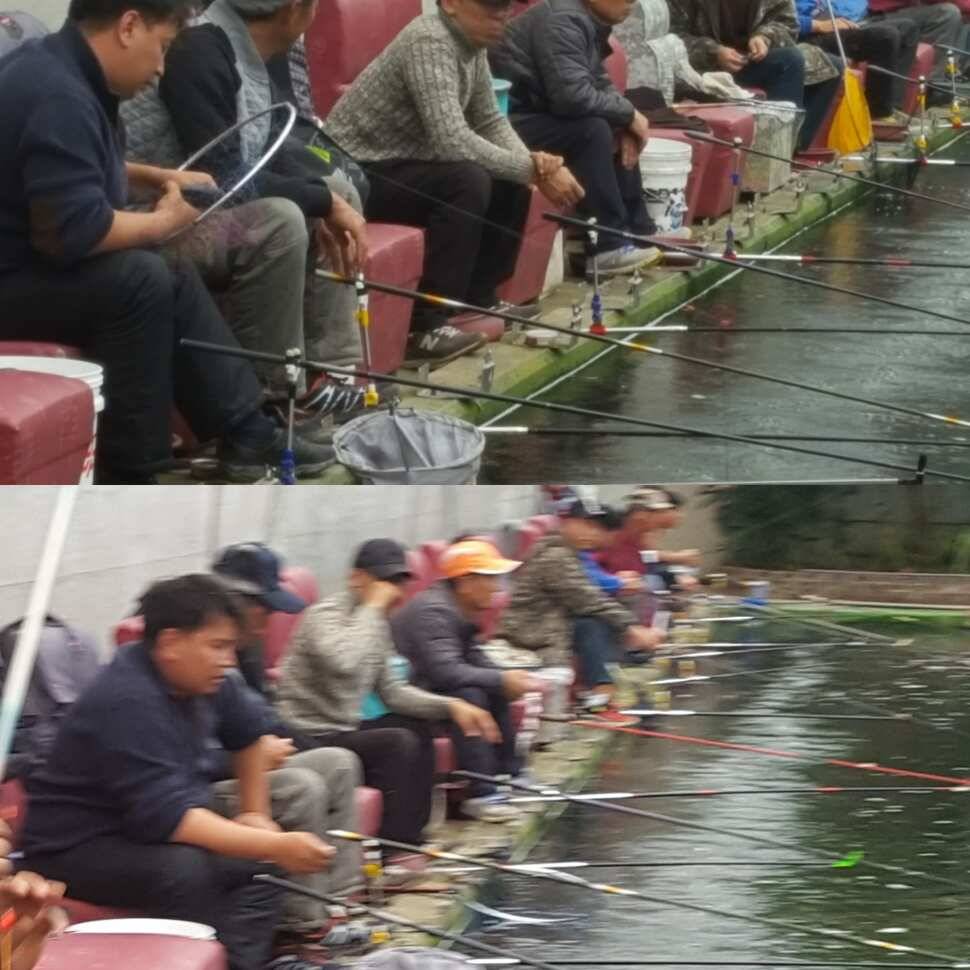 너무 물렀어 (유료터정보 - 유료터점주조황)