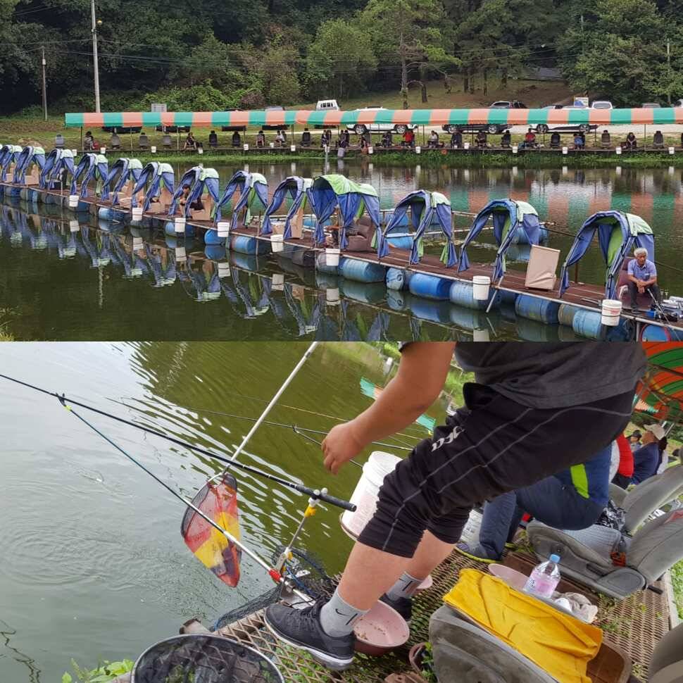 국민체조 (유료터정보 - 유료터점주조황)