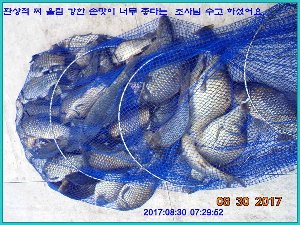 도심속의 작은 쉼터 화성 관리 낚시터입니다 (유료터정보 - 유료터점주조황)