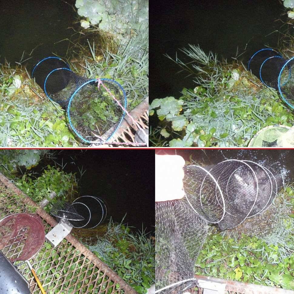 다산왕순산왕 (유료터정보 - 유료터점주조황)