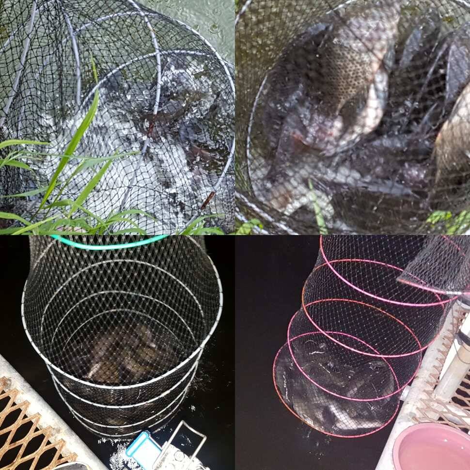하우스 역돔낚시 개장 (유료터정보 - 유료터점주조황)