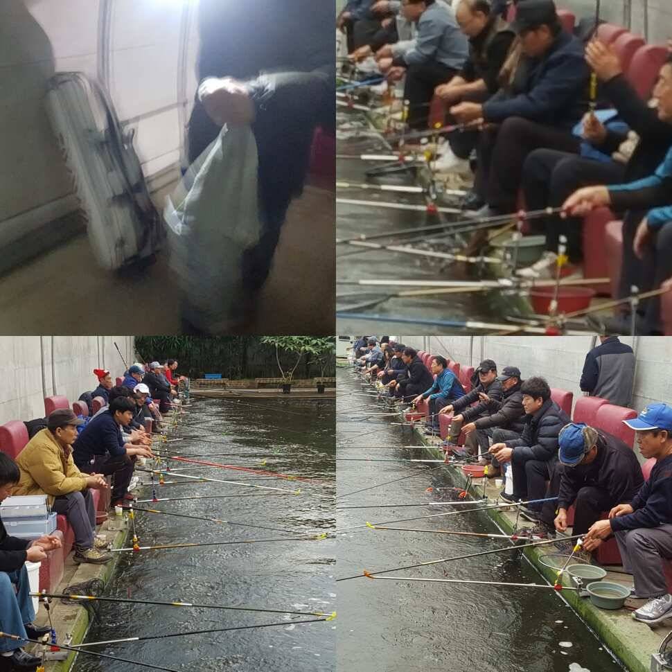 짱 쎈 년 (유료터정보 - 유료터점주조황)