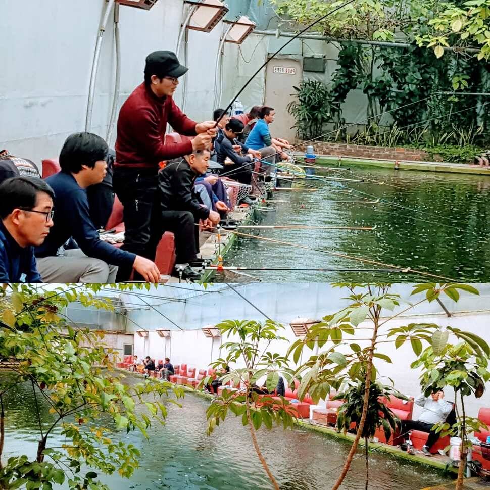 망상 (유료터정보 - 유료터점주조황)