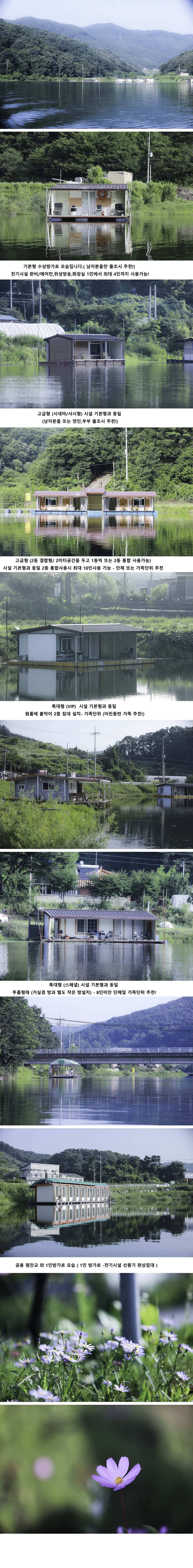 안성 두메낚시터 7월19일 조황안내 (유료터정보 - 유료터점주조황)