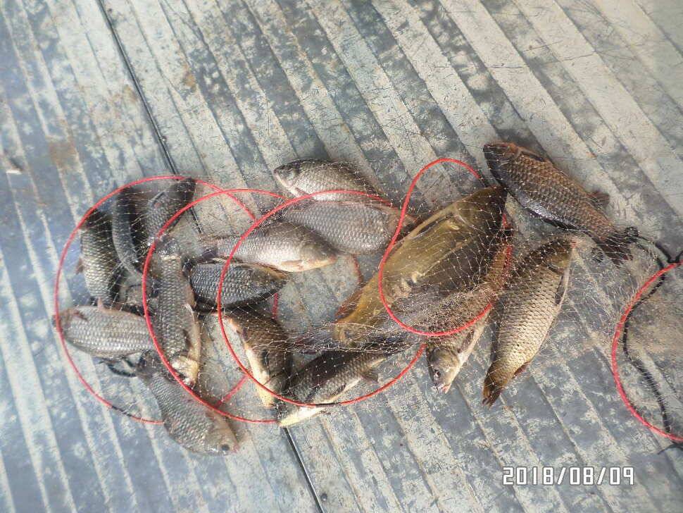 fish_pay_e2b4d_044951_10246.jpg