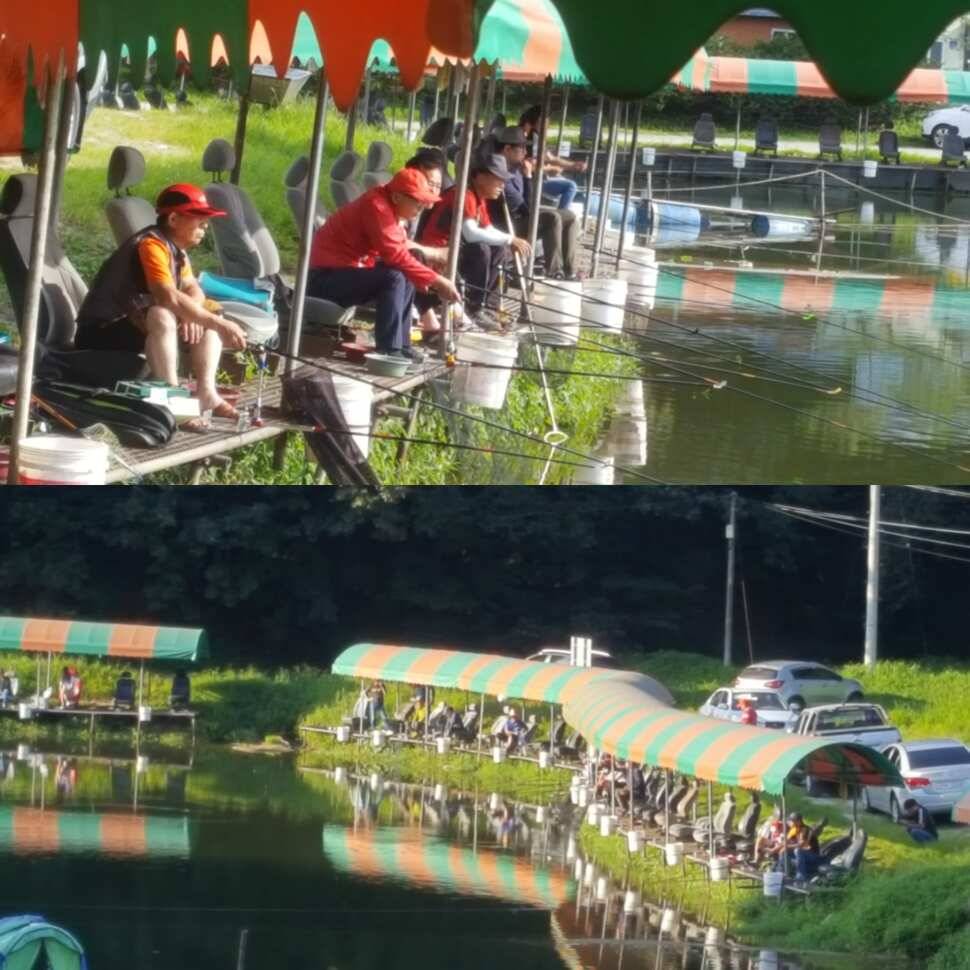 호기회 (유료터정보 - 유료터점주조황)