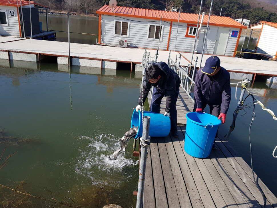 아산 산들낚시터의 상큼한 3월 첫째주 주말 모습올립니다 (유료터정보 - 유료터점주조황)