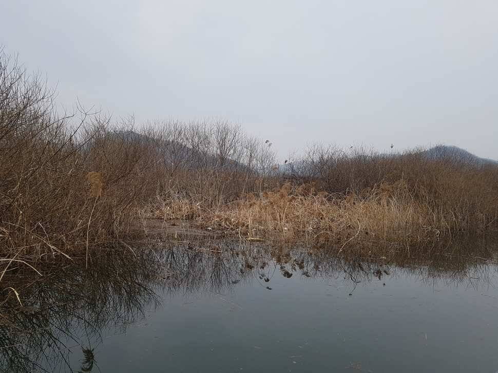 철수시간때 긴장하세요 (유료터정보 - 유료터점주조황)