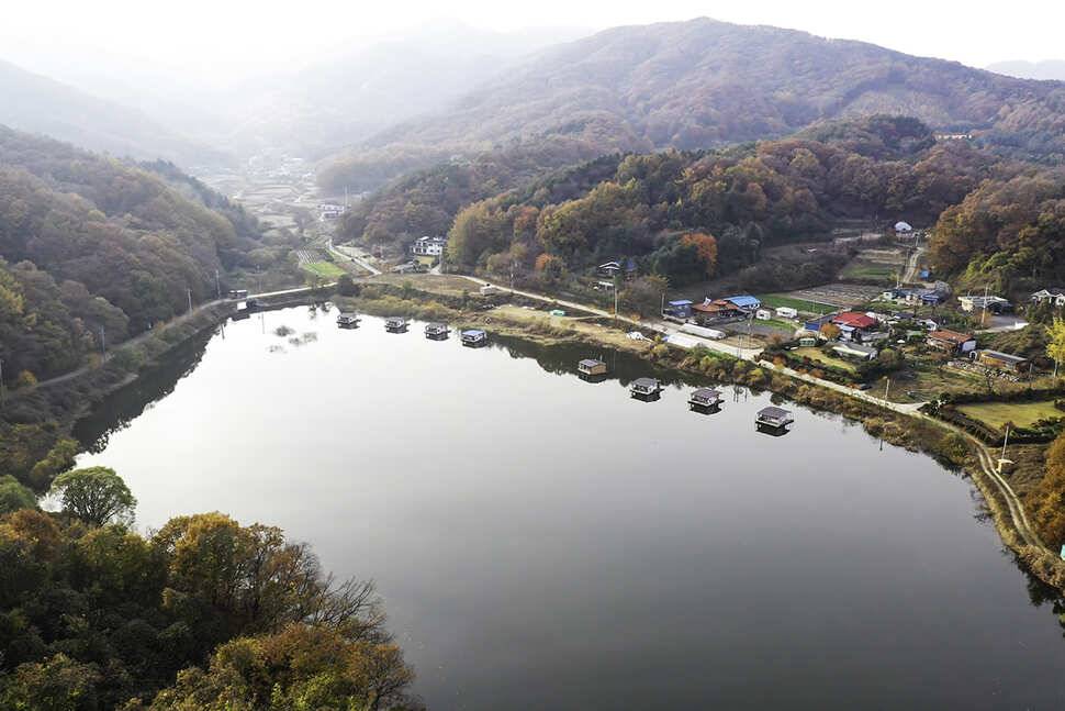 안성 두메낚시터 11월6일 조황안내 (유료터정보 - 유료터점주조황)