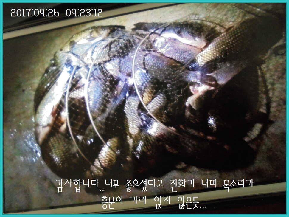 도심속의 작은 쉼터 화성 관리 낚시터입니다9월이여 안녕 (유료터정보 - 유료터점주조황)