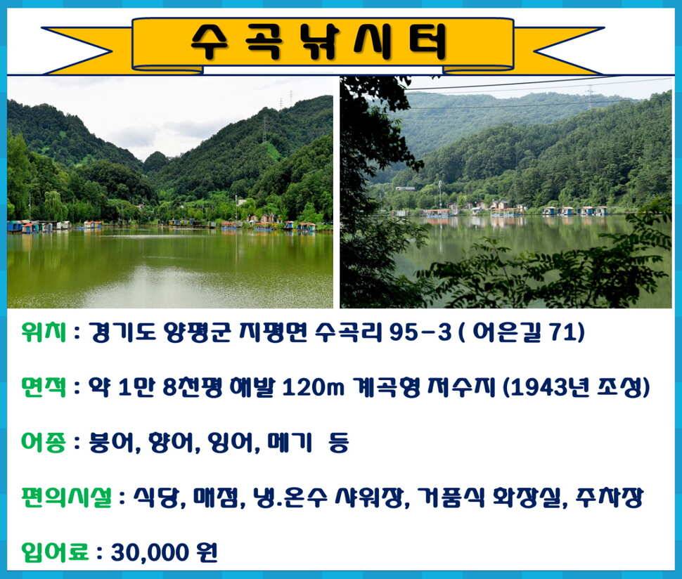 양평 수곡낚시터 10월 첫주 주중조황 안내 (유료터정보 - 유료터점주조황)