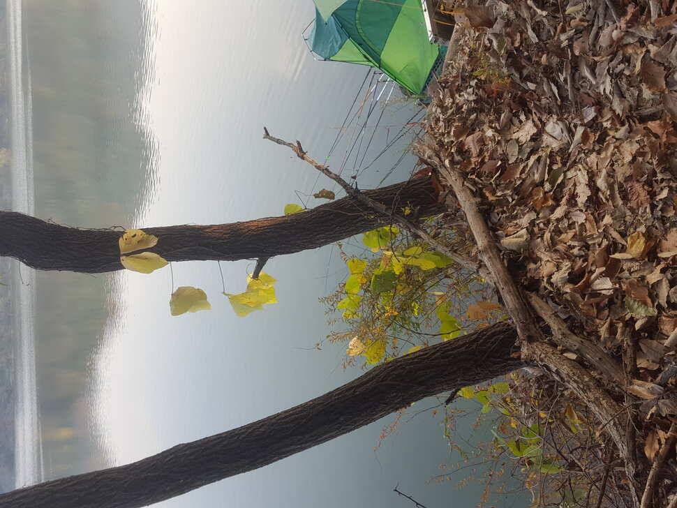 안성죽산장계지조항전경입니다 (유료터정보 - 유료터점주조황)