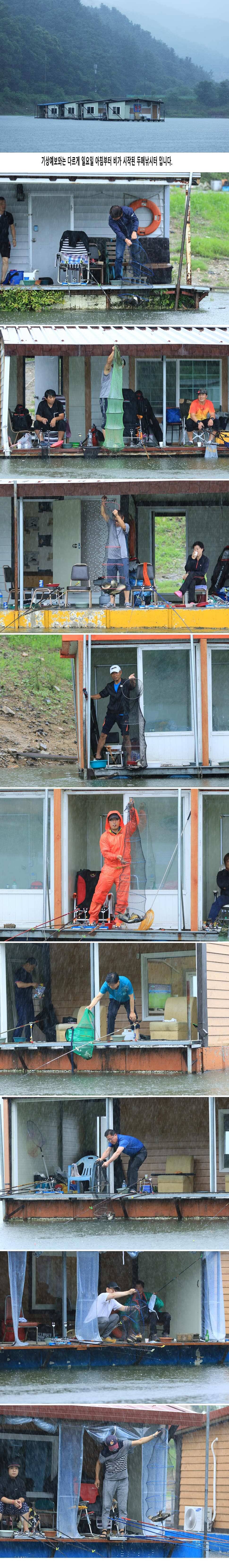 안성 두메낚시터 7월1일 조황안내 (유료터정보 - 유료터점주조황)
