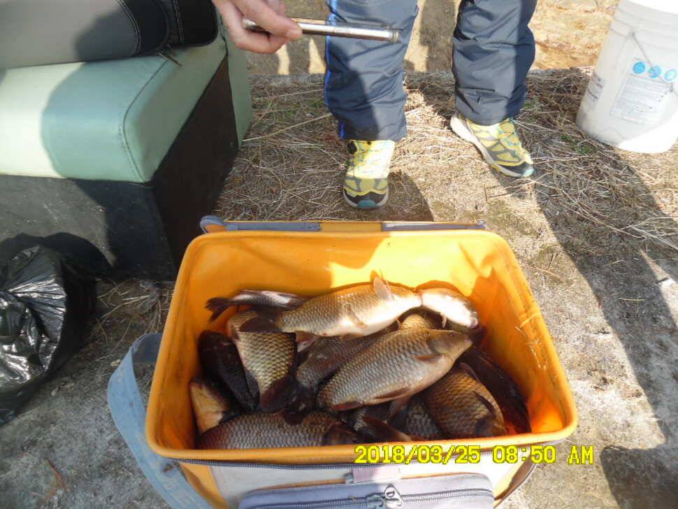 경주 동산낚시터 지난주 조황 (유료터정보 - 유료터점주조황)