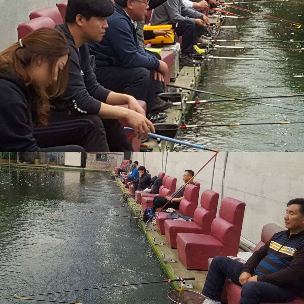 낚시맹 (유료터정보 - 유료터점주조황)