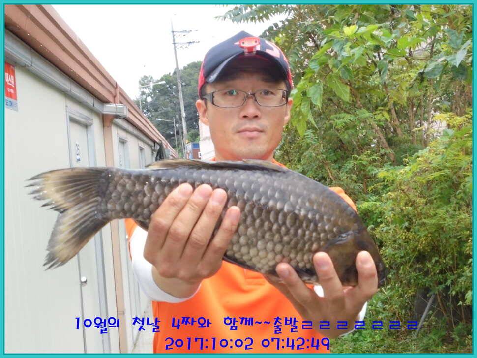 도심속의 작은 쉼터 화성 관리 낚시터입니다입질이 살아나고 있습니다 (유료터정보 - 유료터점주조황)