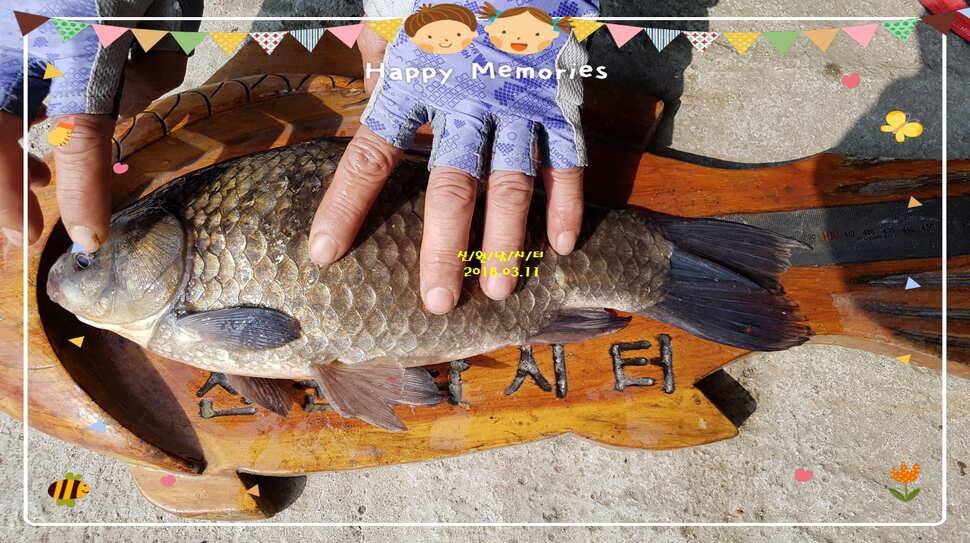 신원낚시터3월둘쨋주 조황소식 입니다 (유료터정보 - 유료터점주조황)