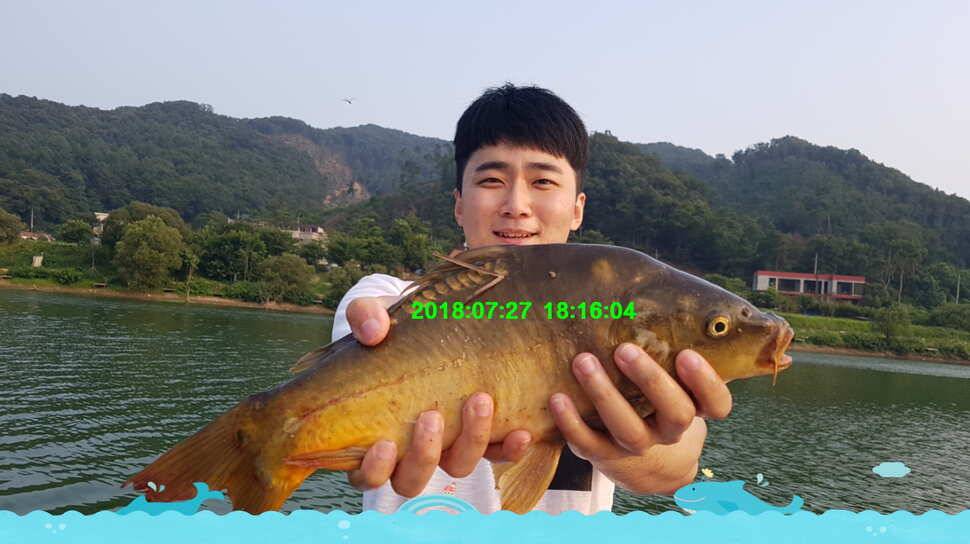 신원낚시터 7월31일 조황소식 입니다 (유료터정보 - 유료터점주조황)