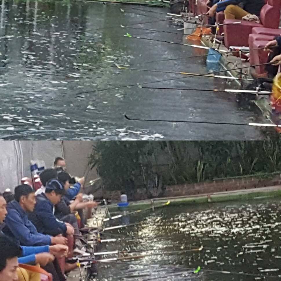 점보 사이즈 (유료터정보 - 유료터점주조황)