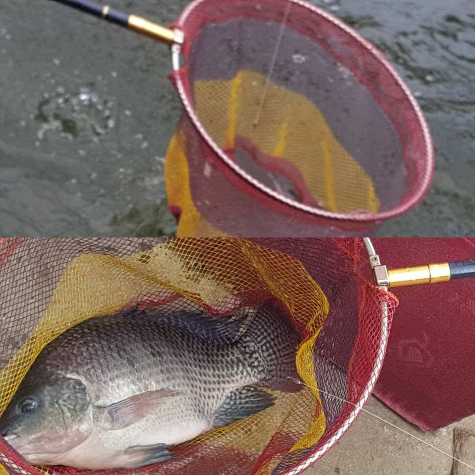 fish_pay_eb33d_070815_56959.jpg