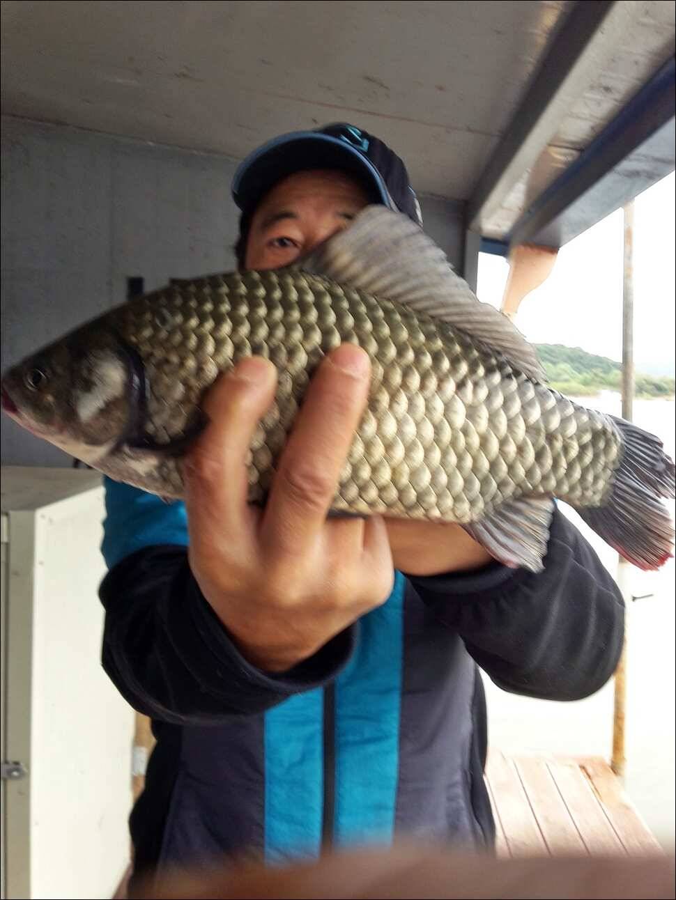 171015 송전지 서울집 조황 (유료터정보 - 유료터점주조황)