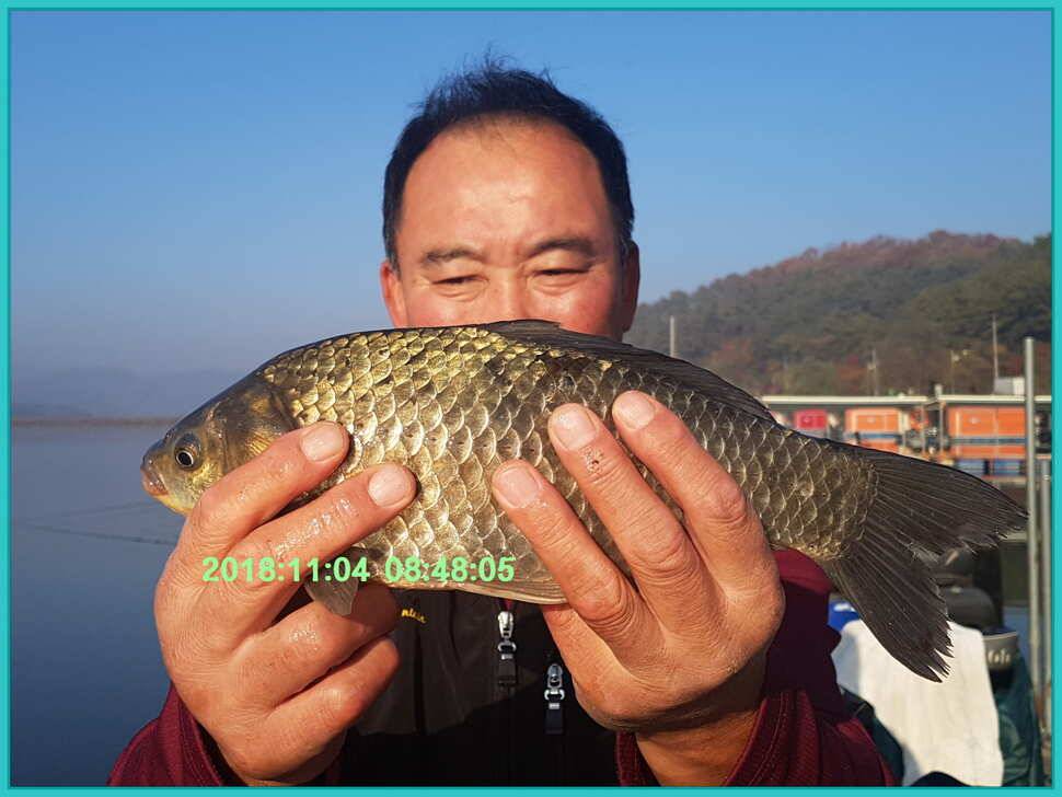 신원낚시터 11월 14일 조황 소식입니다 (유료터정보 - 유료터점주조황)