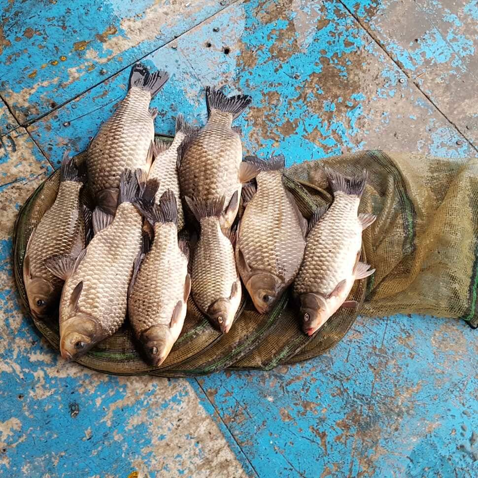 fish_pay_eda2b_014416_29200.jpg