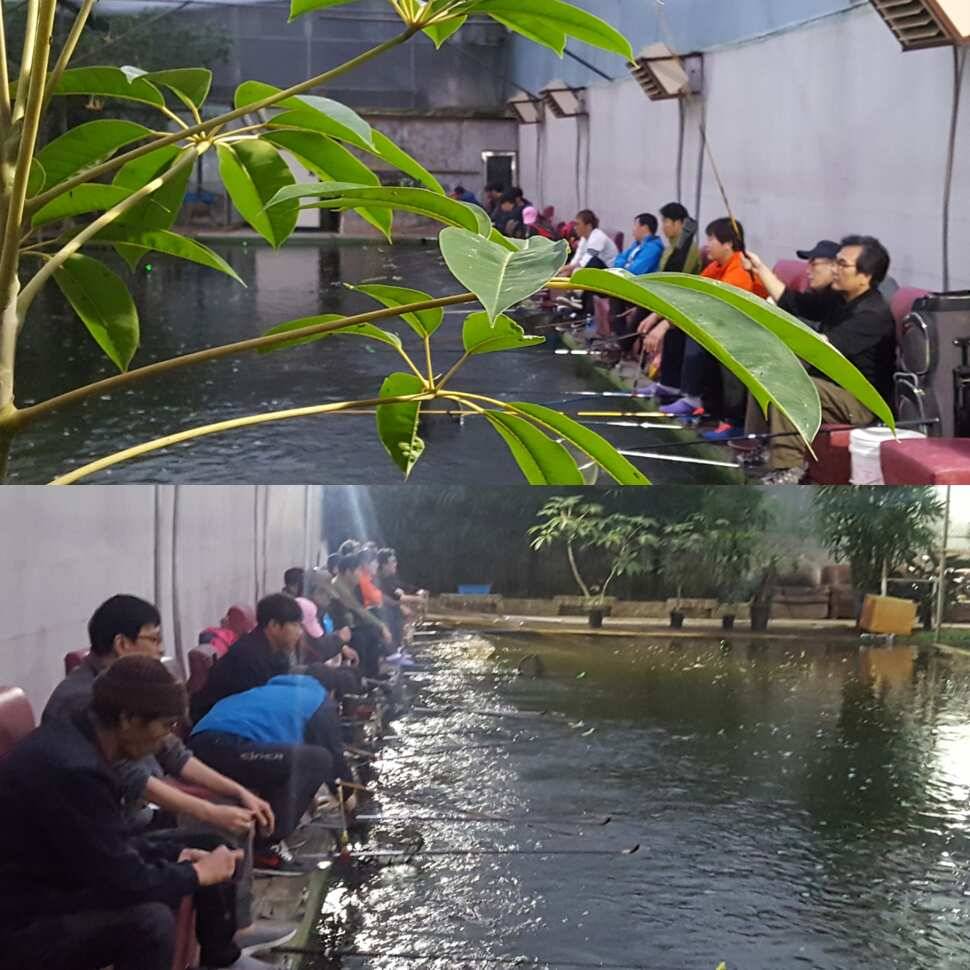 신세타령 (유료터정보 - 유료터점주조황)