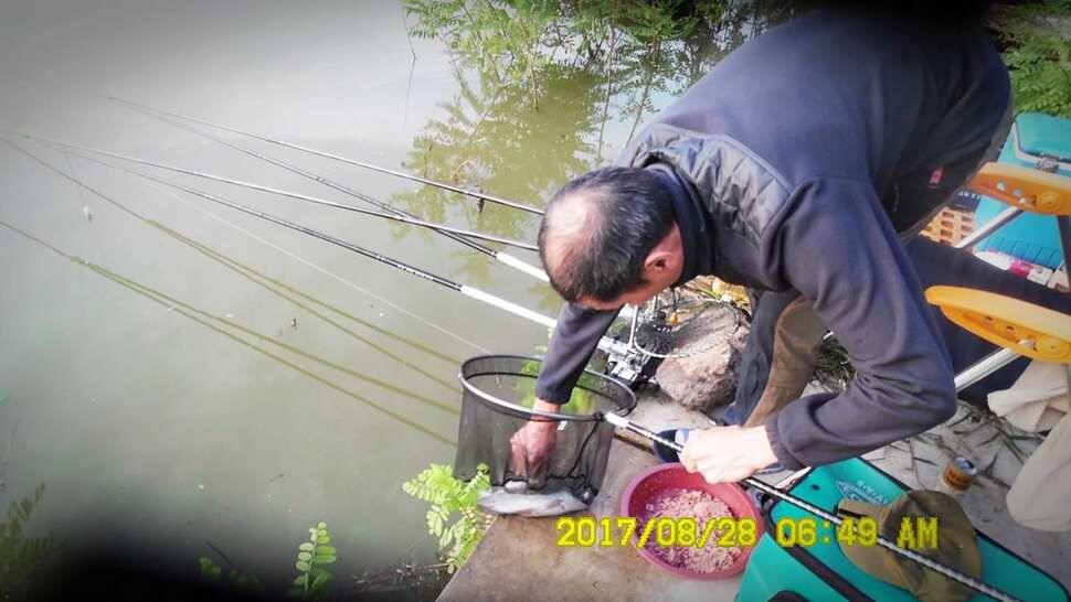 반제지 조황정보입니다 (유료터정보 - 유료터점주조황)