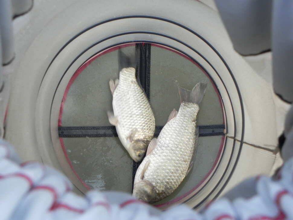 안성회암지조항 입니다 (유료터정보 - 유료터점주조황)