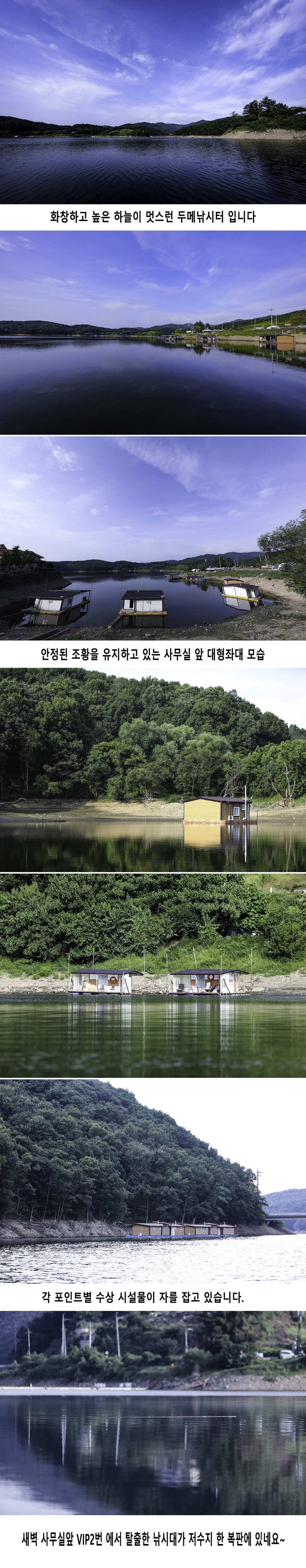 안성 두메낚시터 8월20일 조황안내 (유료터정보 - 유료터점주조황)