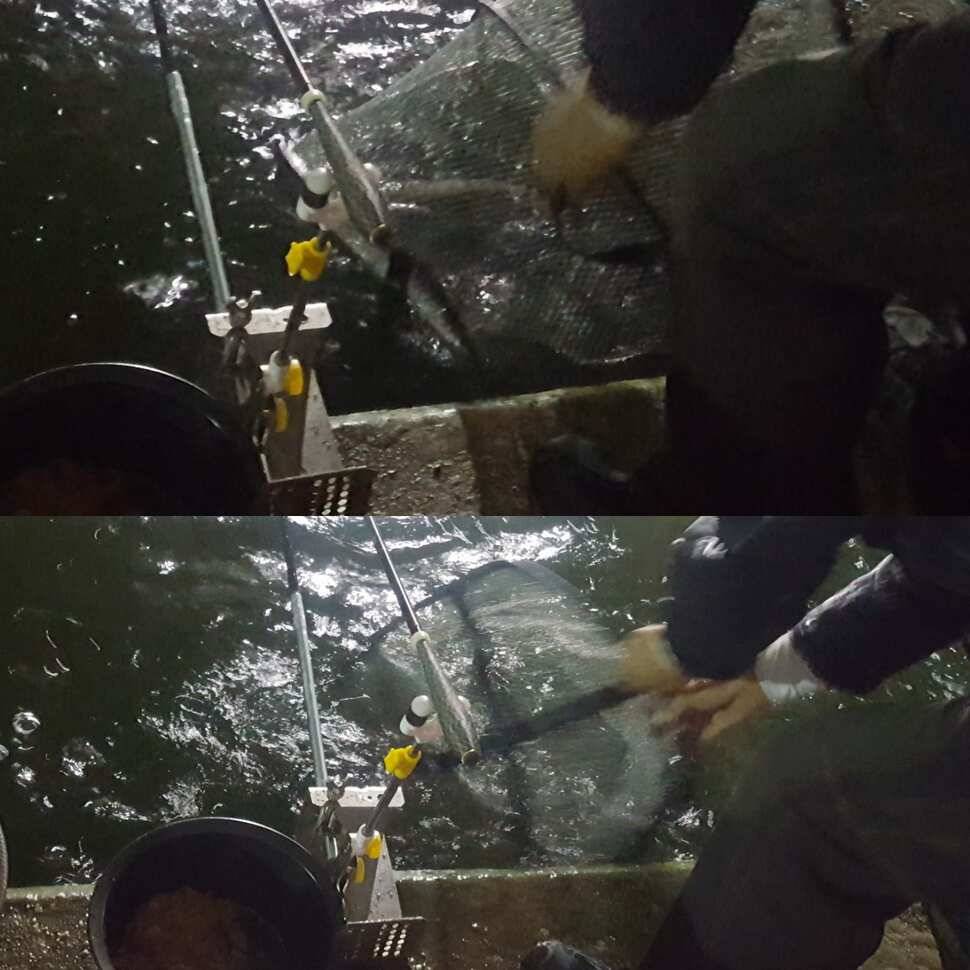 역돔왈 (유료터정보 - 유료터점주조황)