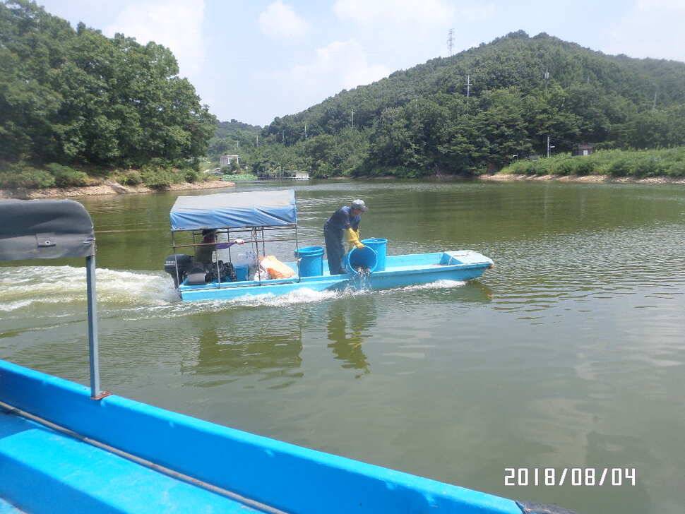 아산신수지 8월 첫 주말 화보입니다 (유료터정보 - 유료터점주조황)