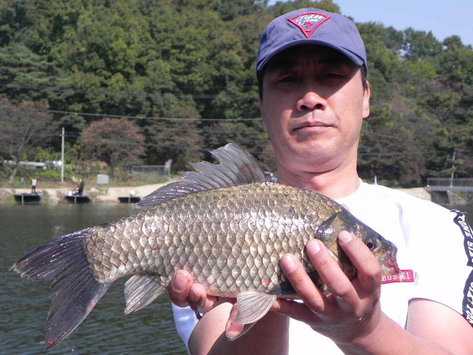 안성회암지조항 입니다 (유료터정보 - 유료터점주조황)