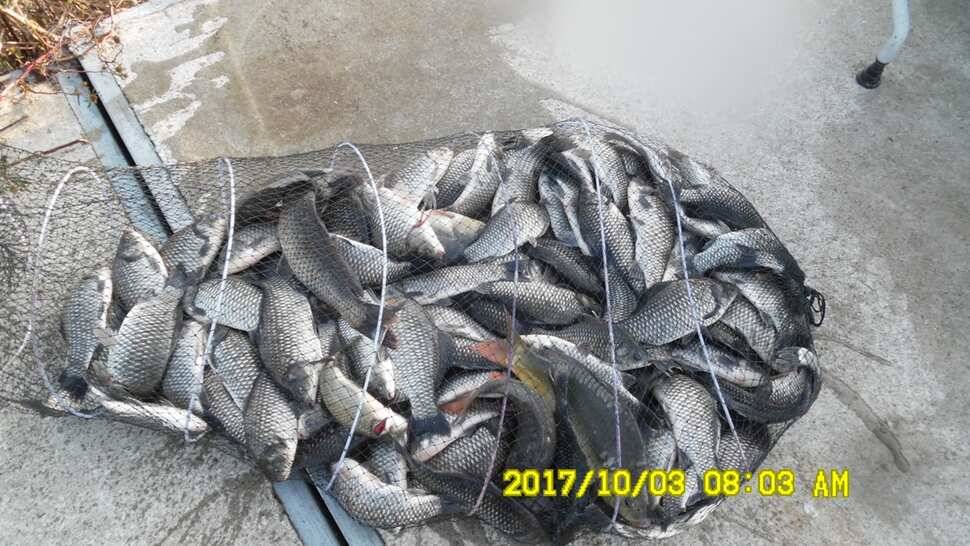 반제지 대박조황은 쭈욱 (유료터정보 - 유료터점주조황)